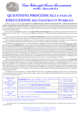 Questioni processuali e fase di esecuzione dei contratti pubblici