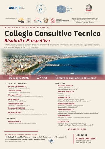 Collegio Consultivo Tecnico – Risultati e Prospettive